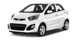 Untitled design (18)